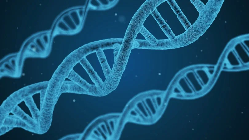 Our Shared DNA April 2019