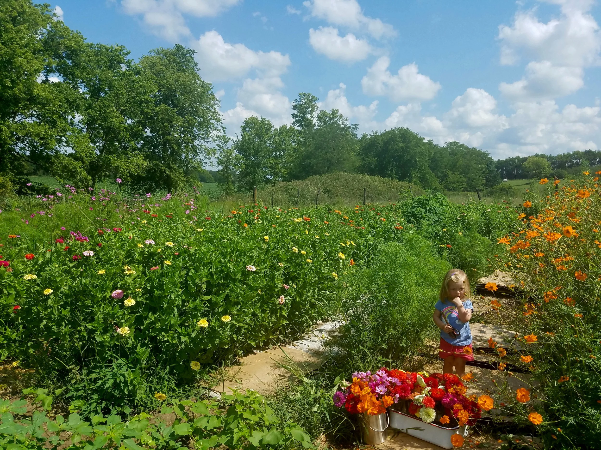 picking flowers