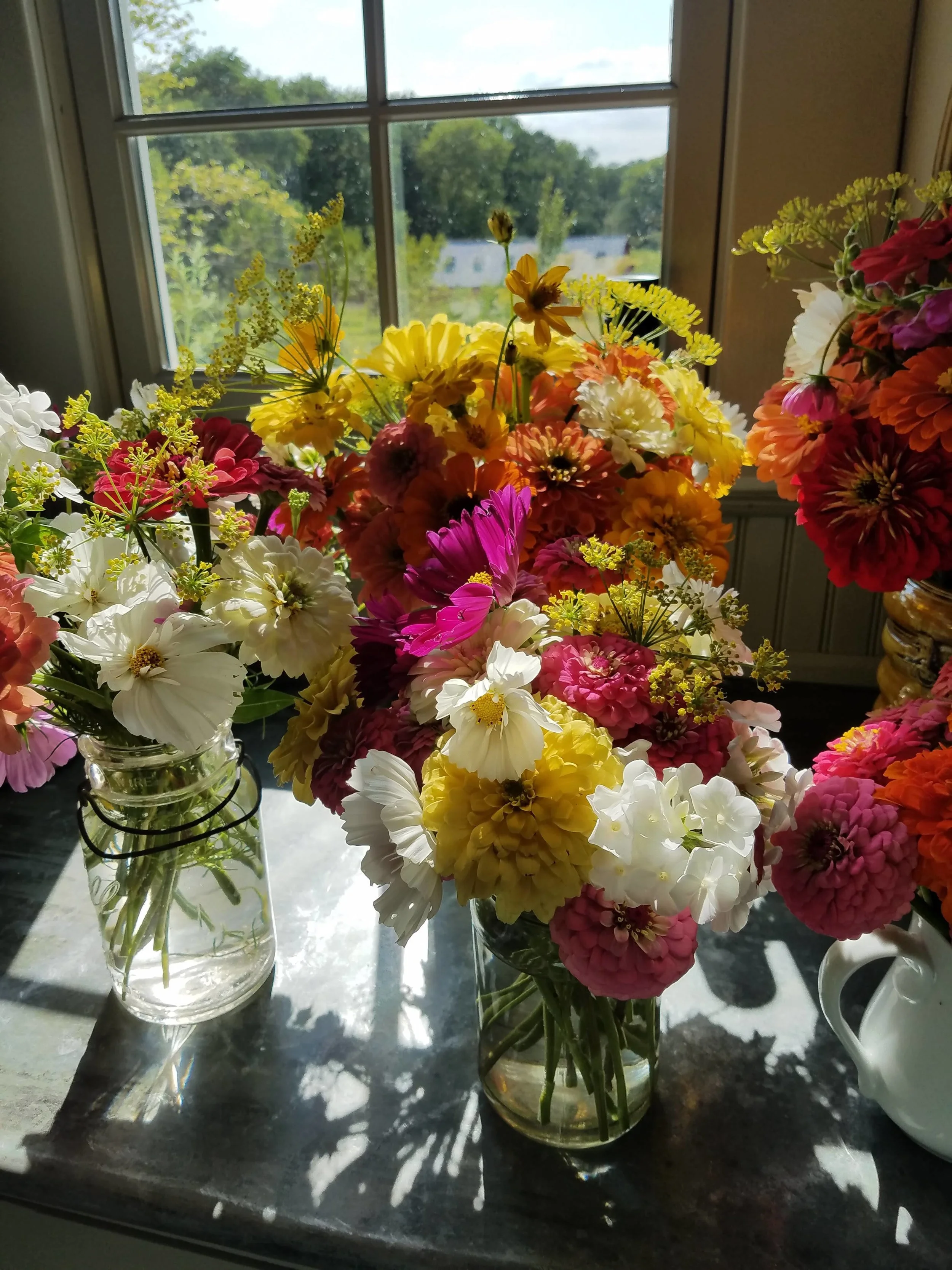 20190810_164951.jpg
