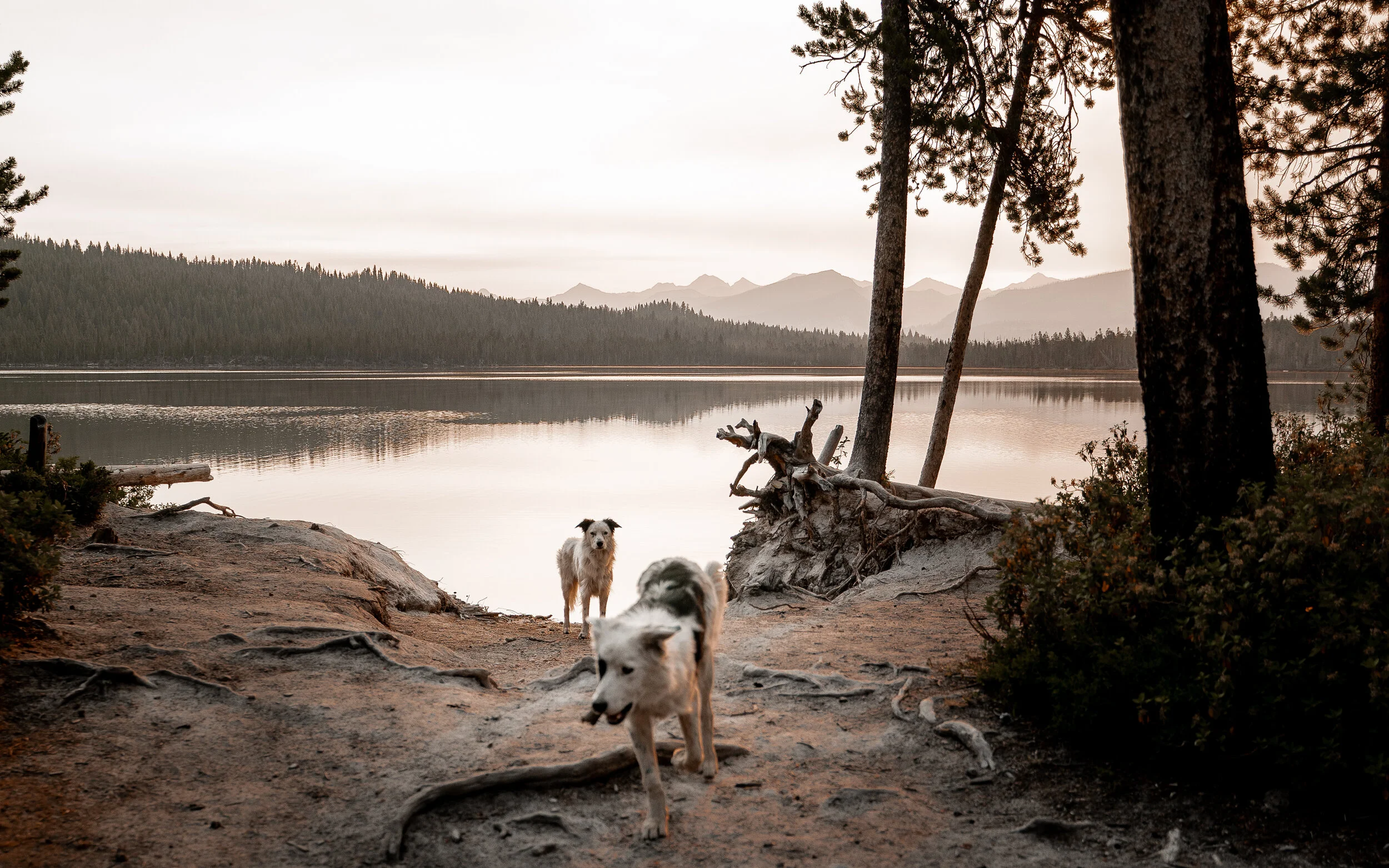 Long Weekend in Idaho