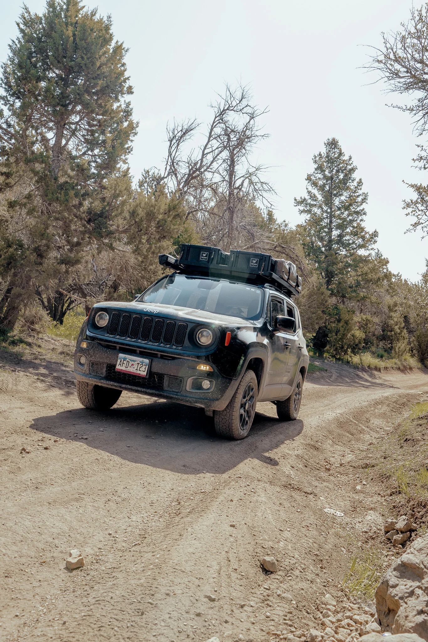 _DSC6049.jpg