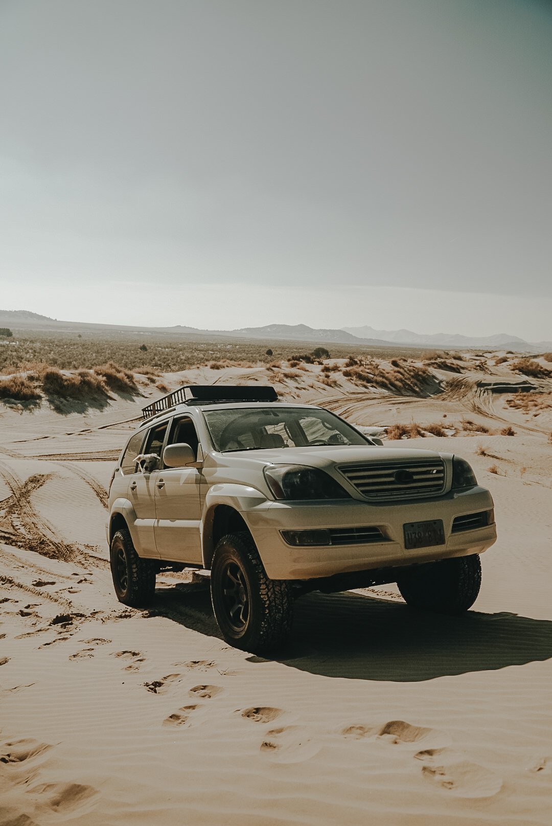 Gertie Goes to Little Sahara