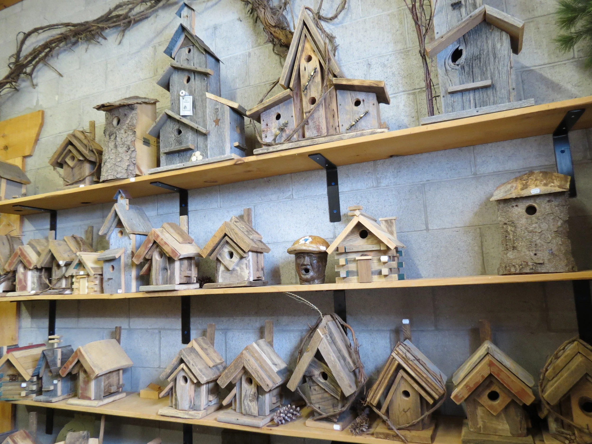 The Great Canadian EcoFest