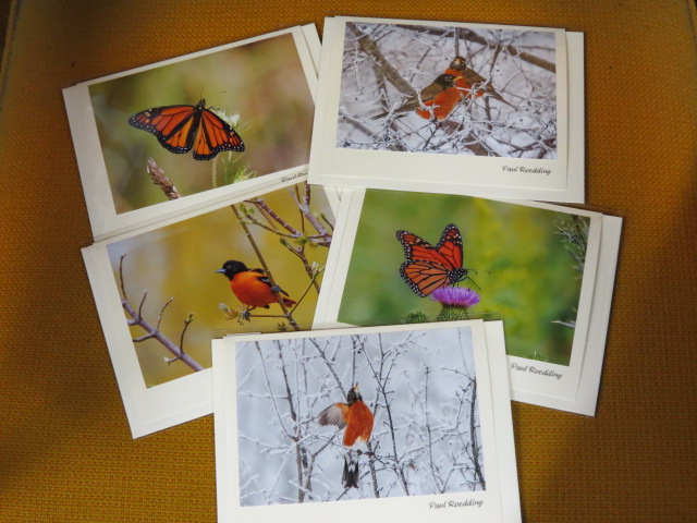 Colourful Art Cards from Paul Roedding Photography featuring our favourite colour of the season!!