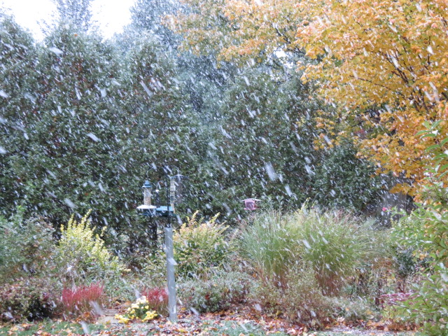 Snow earlier this morning!