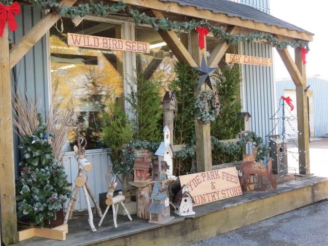 store 2017.jpg