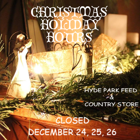 christmas hours 4.png