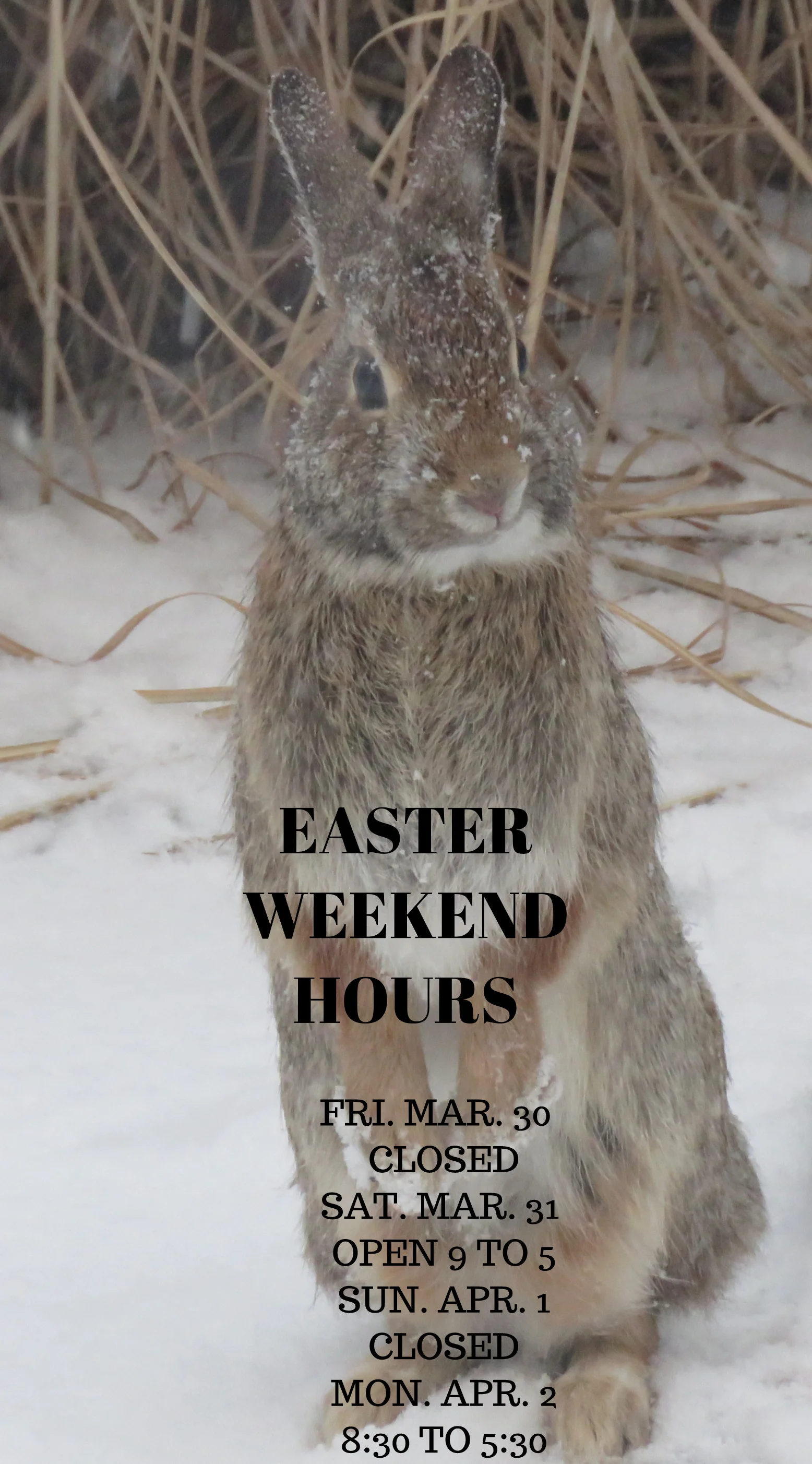 EASTER HOURS.jpg