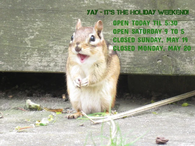 IMG_6160 MAY HOLIDAY WEEKEND.jpg