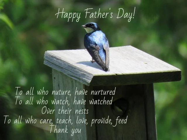 IMG_6859 father's day 2019 #2.jpg
