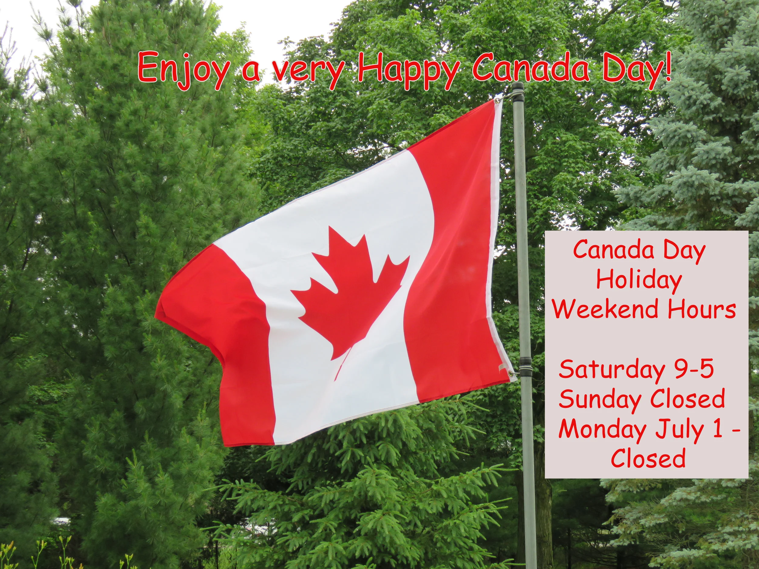 Canada Day 9-5 IMG_5015.jpg