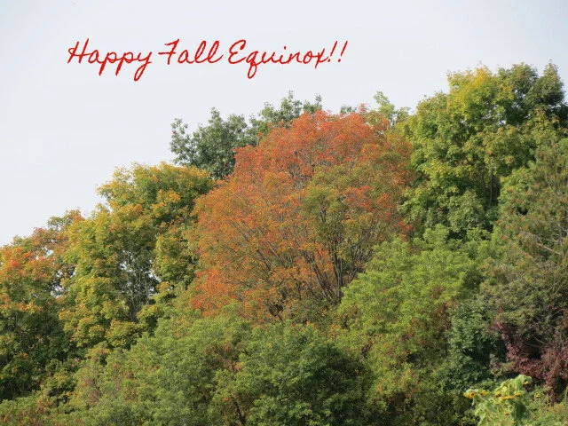 IMG_8052 fall.jpg