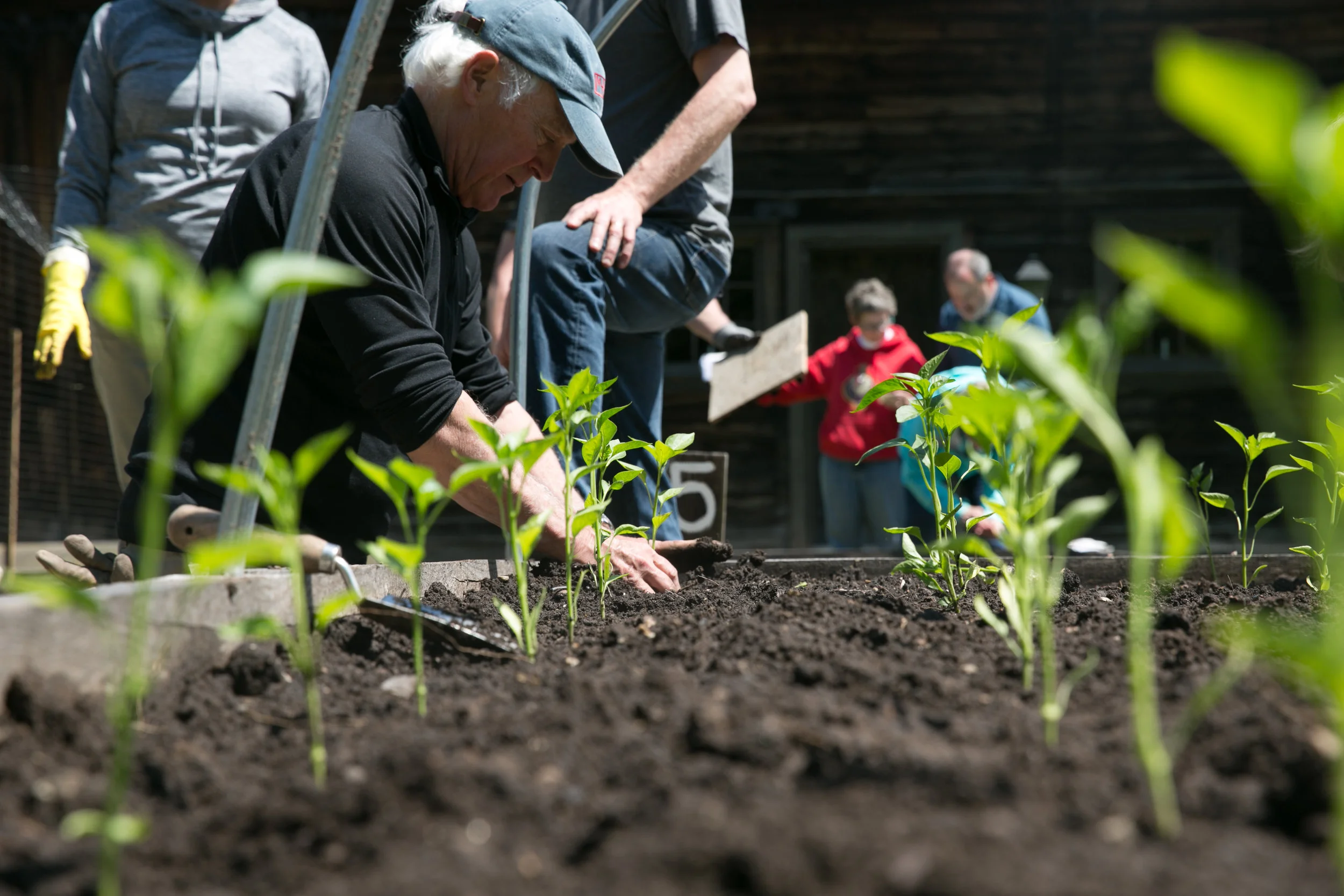CommunityPlantingDay9.jpg