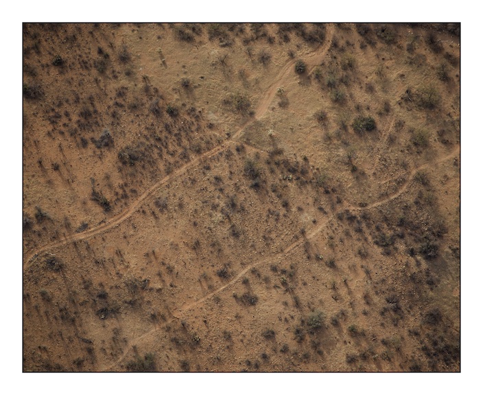  Traces of migration like these can be seen all over the desert. The track to the north is made by vehicles, probably United States Border Patrol and local farmers, the smaller track to the south and those that branch off from it will be used by catt