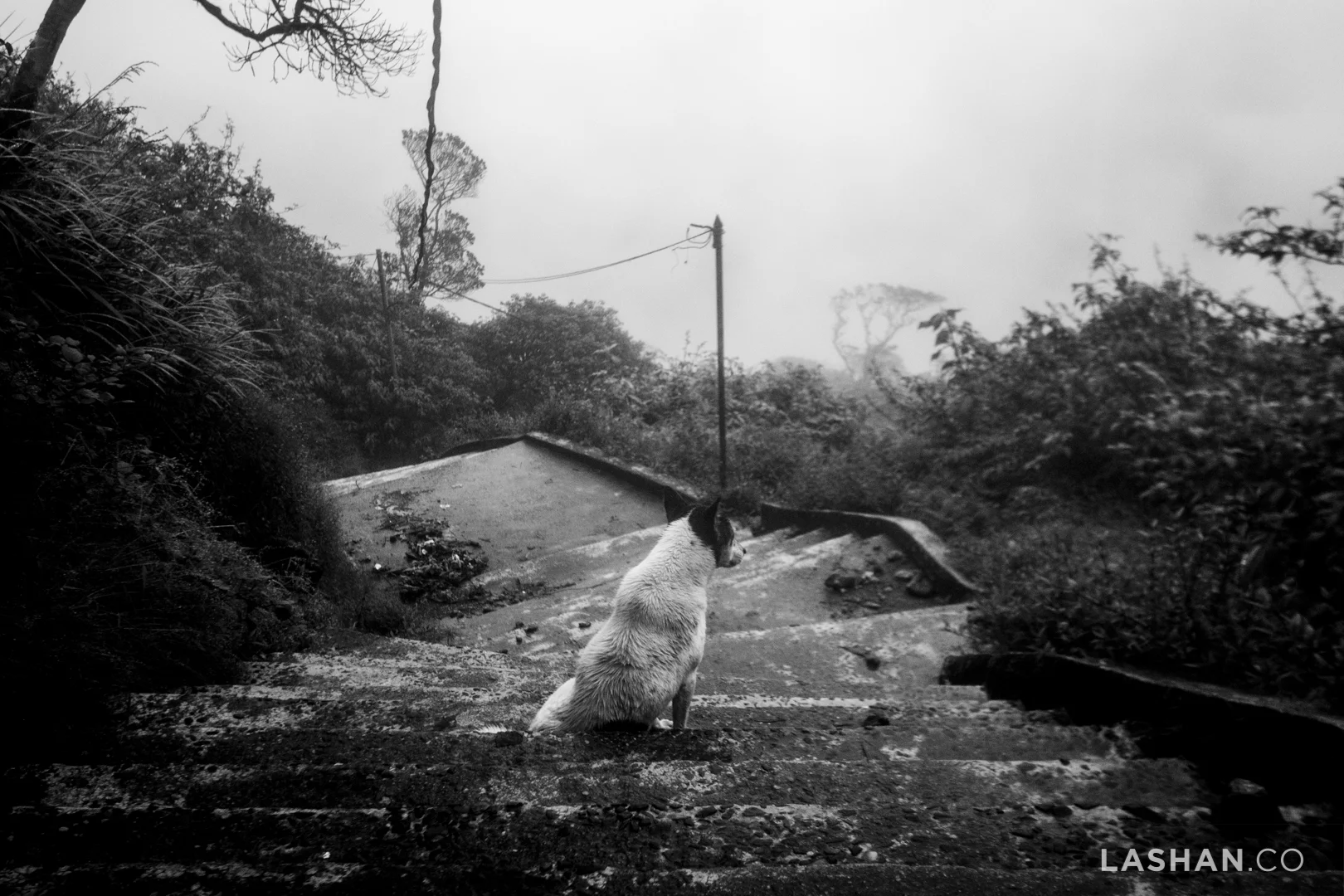 IMG_1214AdamsPeak.jpg