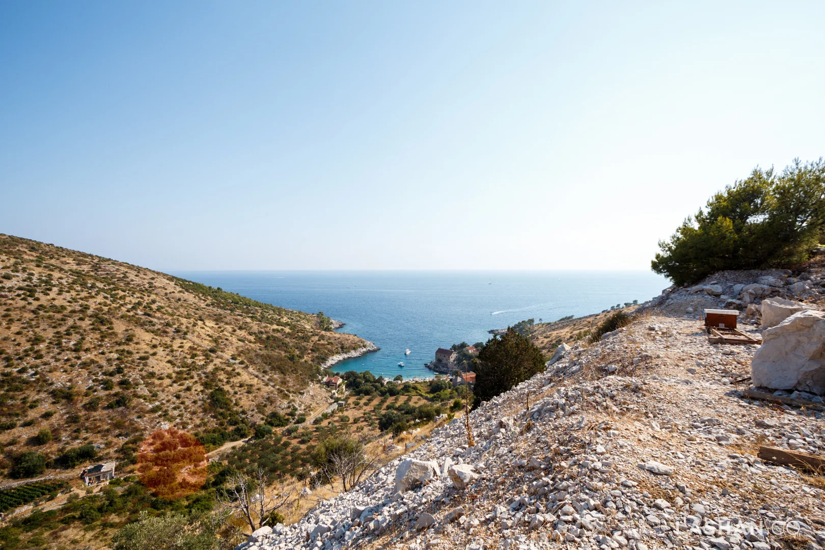 IMG_6640Split.jpg
