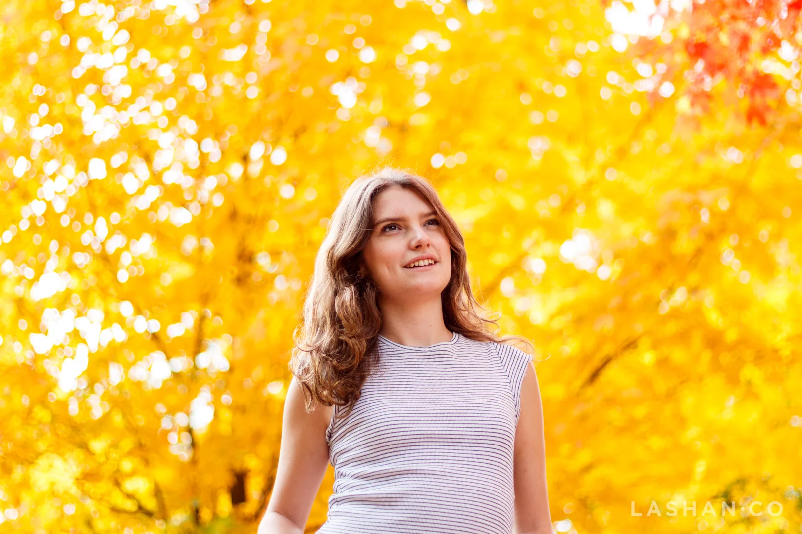 IMG_3132Autumn.jpg