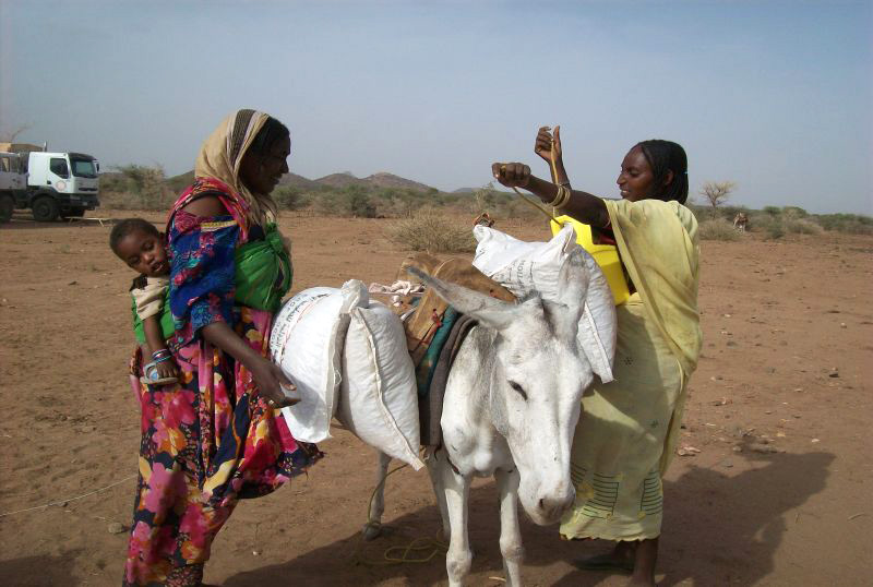 In Darfur, a family loads their means of transportation with food and seeds they have just received from the ICRC. © ICRC / Ataf Yusif