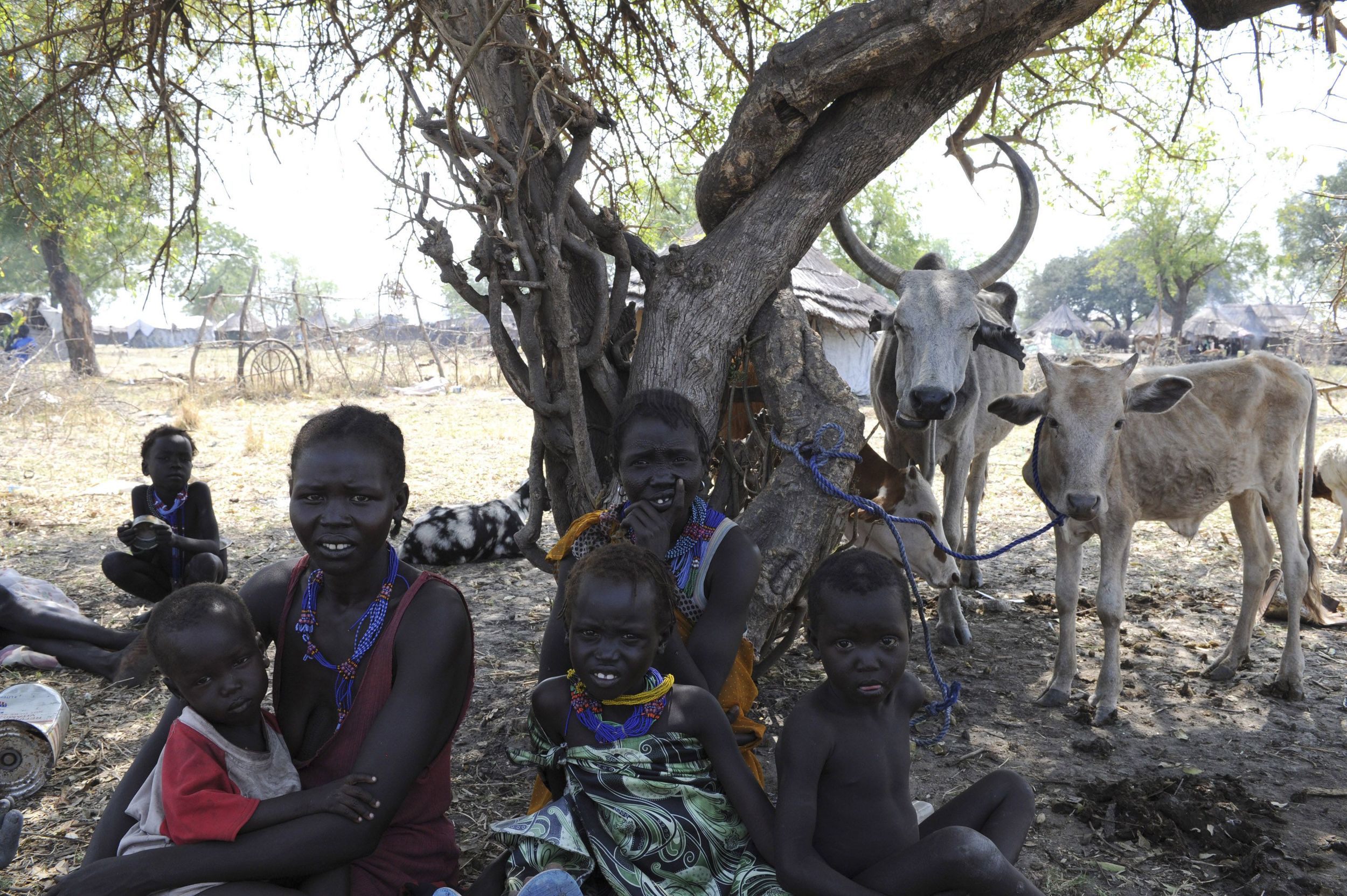 Many needs in South Sudan - IDPs in Pibor, 5/01/12/Photo courtesy of Reuters/Isaac, Billy South Sudan, born six months ago, is increasingly affected by armed violence.