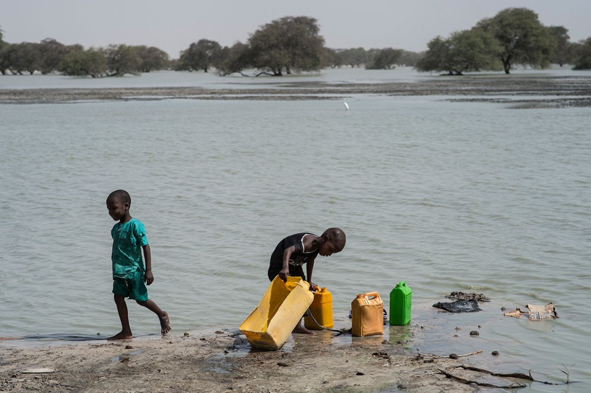Water is a scarce resource for those who have fled the fighting in Nigeria. To avoid the queues at wells, some are taking the risk of drawing water from a pond where their livestock drink. To provide more people with clean drinking water, the ICRC is drilling five new boreholes.