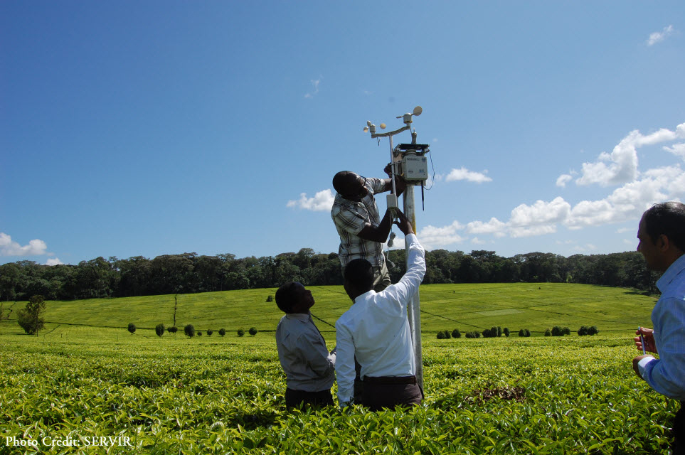 Daniel Wafula of the Regional Centre for Mapping of Resources for Development, Absae Sedah (right) of Kericho County KMS, and Eric Kabuchanga (left) of SERVIR-Africa, set up a WSN node on a tea farm in Kericho (photo credit: SERVIR) - See more at: https://servirglobal.net/Multimedia/Photos#sthash.fPK2pAO9.dpuf