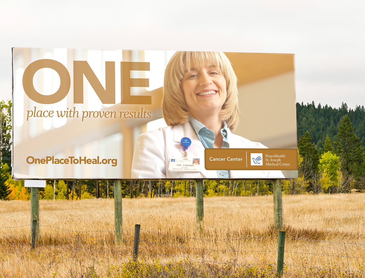 Billboard_DrCrewsCancer.jpg