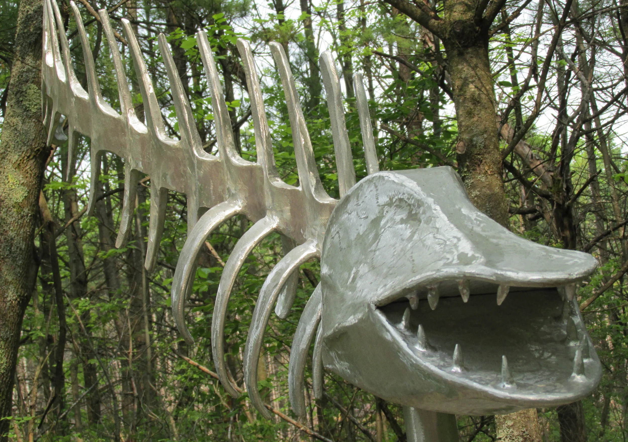 Don't know if this one was a Sturgeon but he was quite large and lived in the trees as well.
