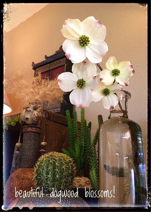 BLOG dogwood.jpg