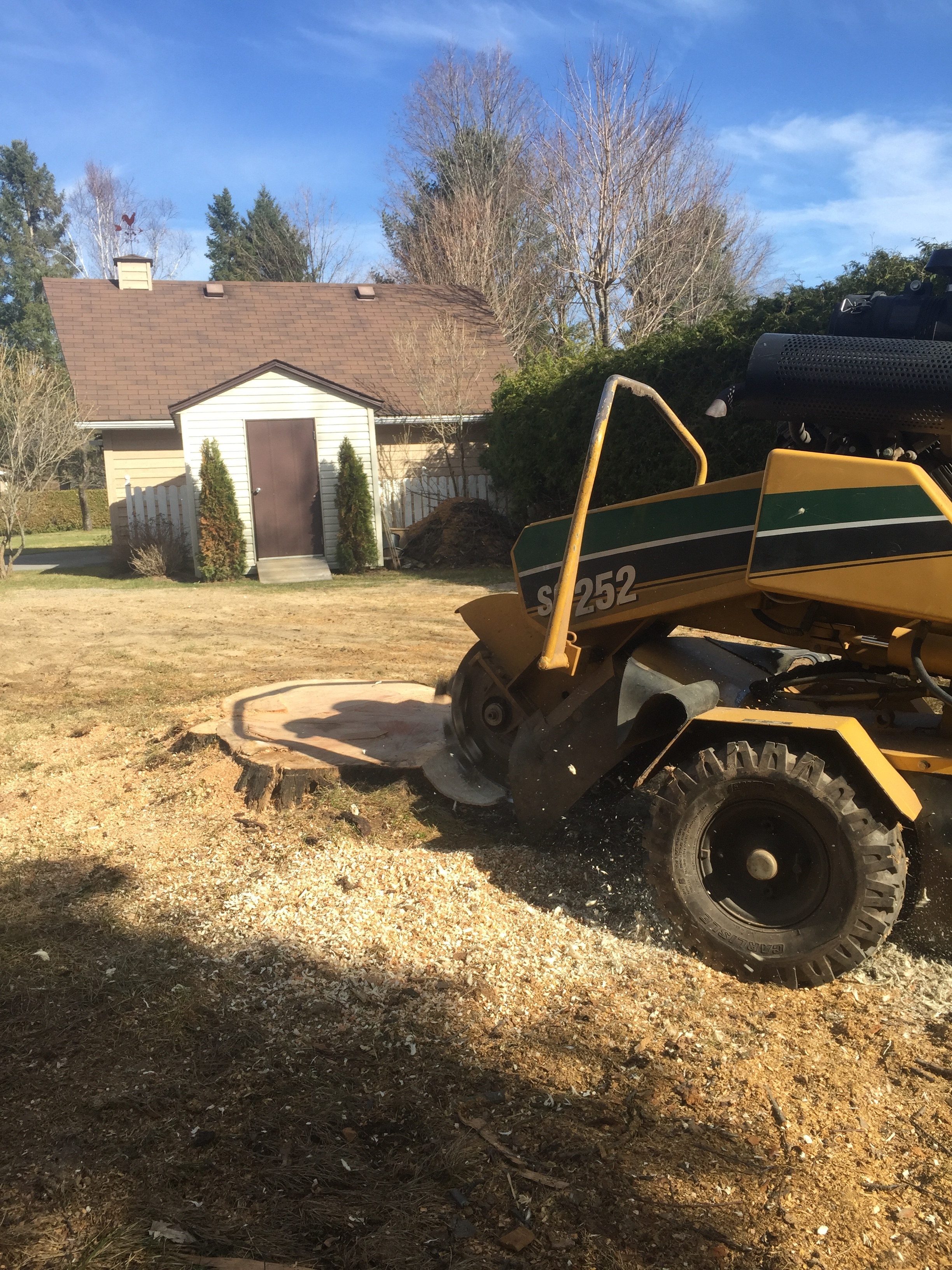 Stump Removal Barrie