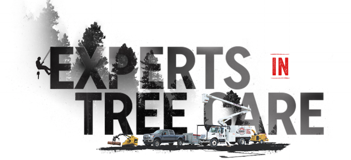 Overview — Downey Tree Service