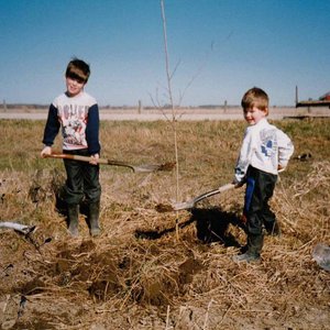 Downey Tree Service photo 7