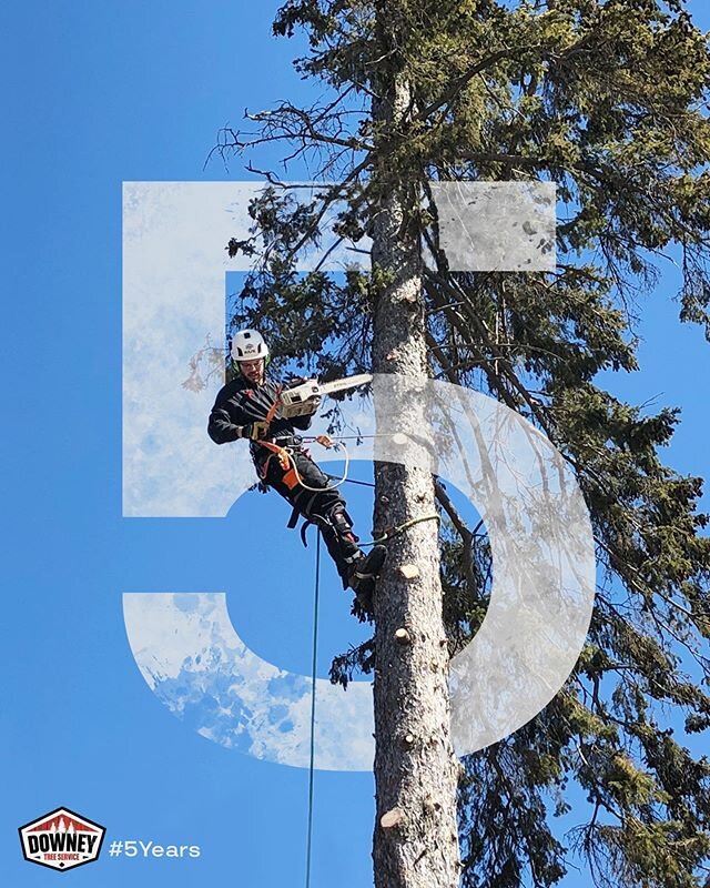 5 years.  Today marks 5 years since I &lsquo;took the plunge&rsquo;, and signed those papers bringing Downey Tree Service from a dream to a reality.
.
.
When family, friends and people in the community would ask me how business is, I&rsquo;d always s