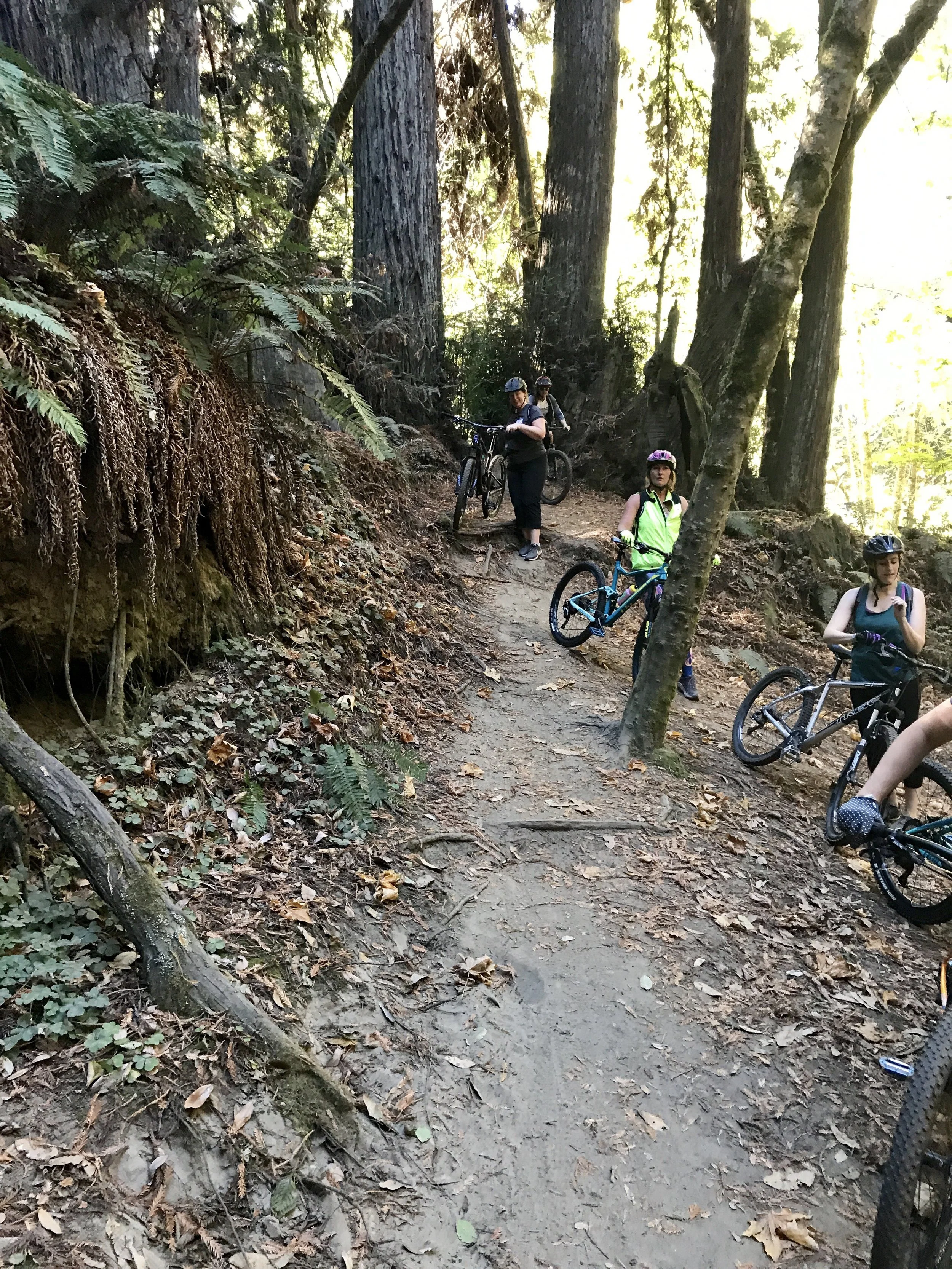 image_123986672 (MC4zNjkxNjcwMA).JPG