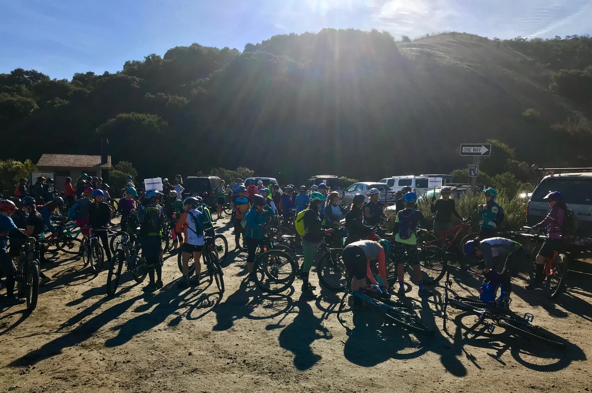 image1 (MC4xNTExMTYwMA).jpeg