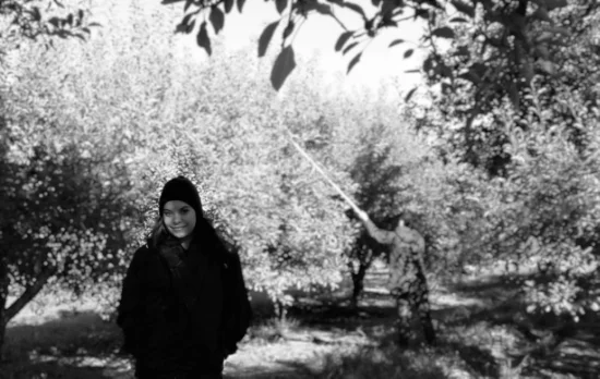 Weathering the Storm