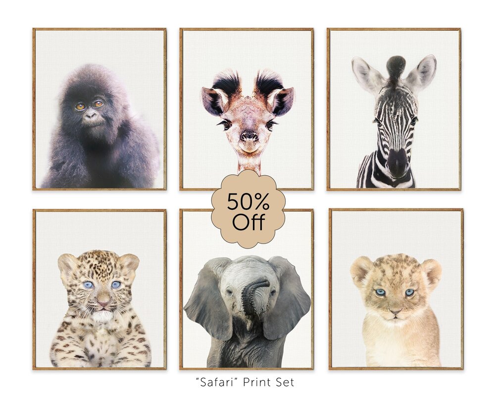 Safari Nursery Prints Set Of 6 Baby Animals For Boys Chub And Bug Ilration Wall Art School Supplies Kids Babies Safari Nursery Prints Set Of 6 Baby