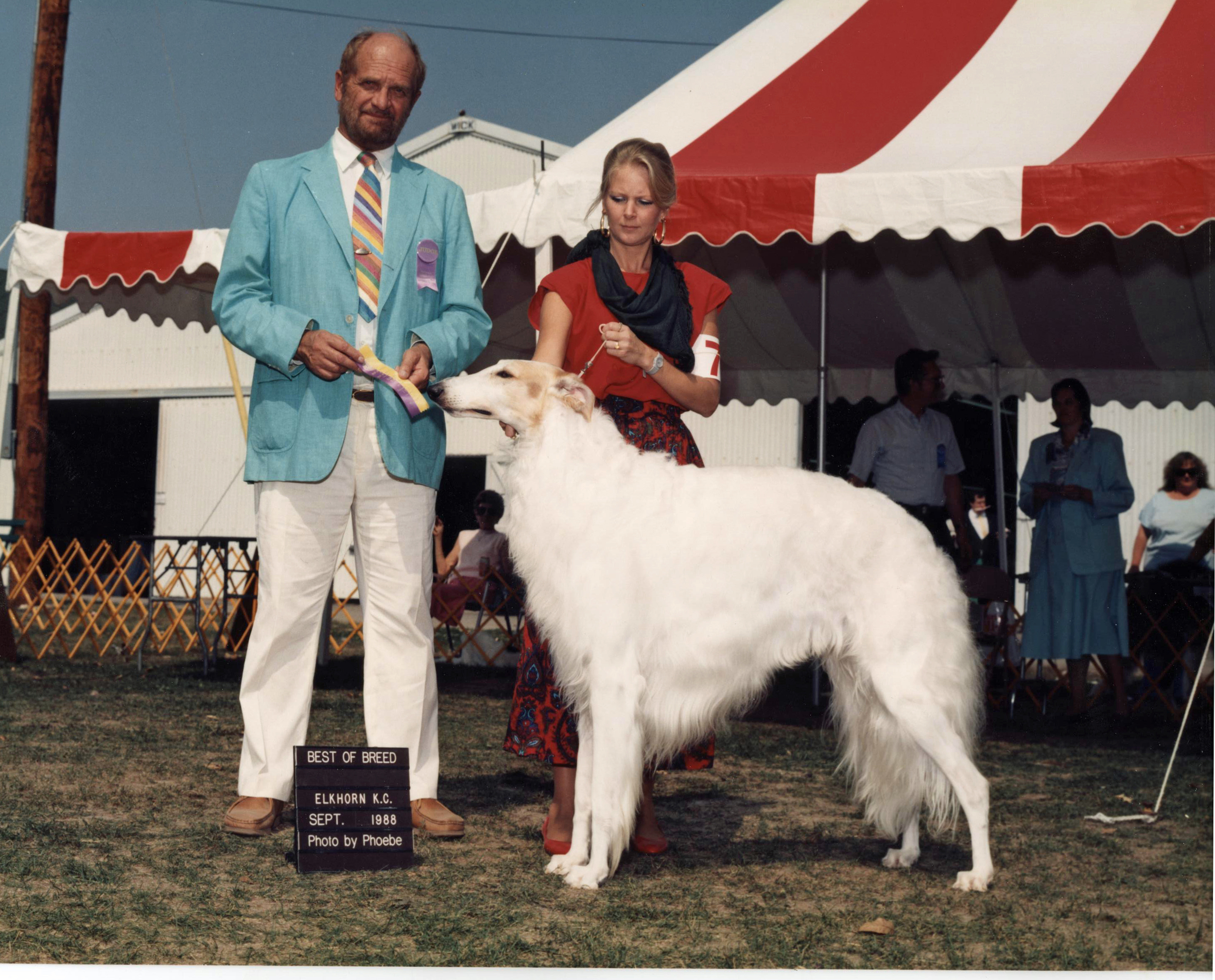 borzoi bob.jpg