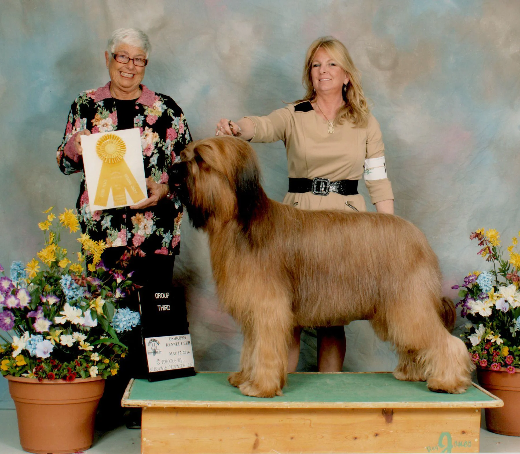 Grand champion.jpg