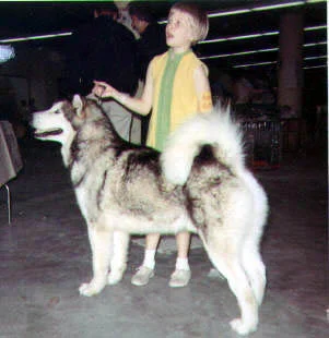 Bear Jeri Jr's July 69.jpg