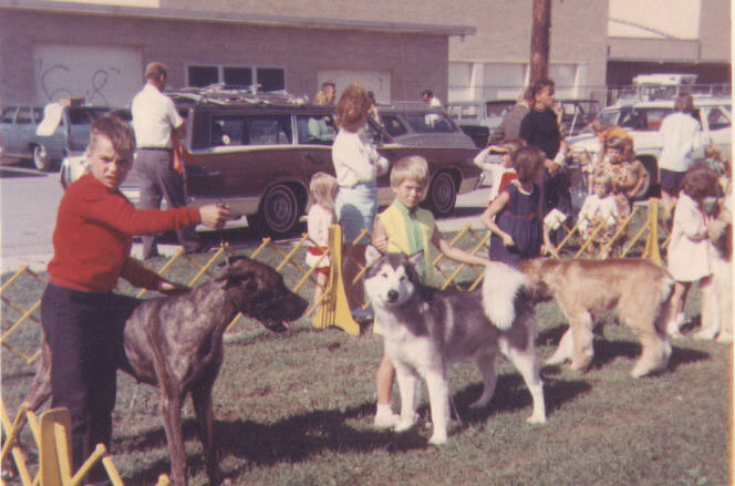 Bear Jeri WKC jr's 69.jpg