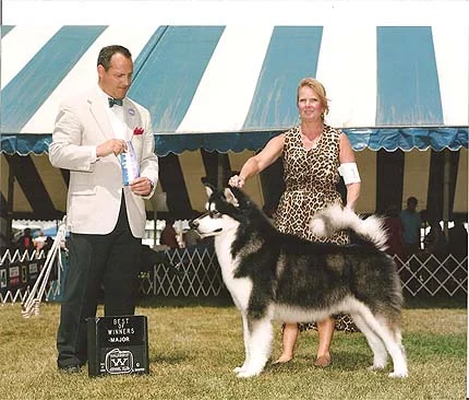 zorro first major-1.jpg