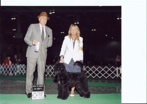 Zoi best of Breed Porty.JPG