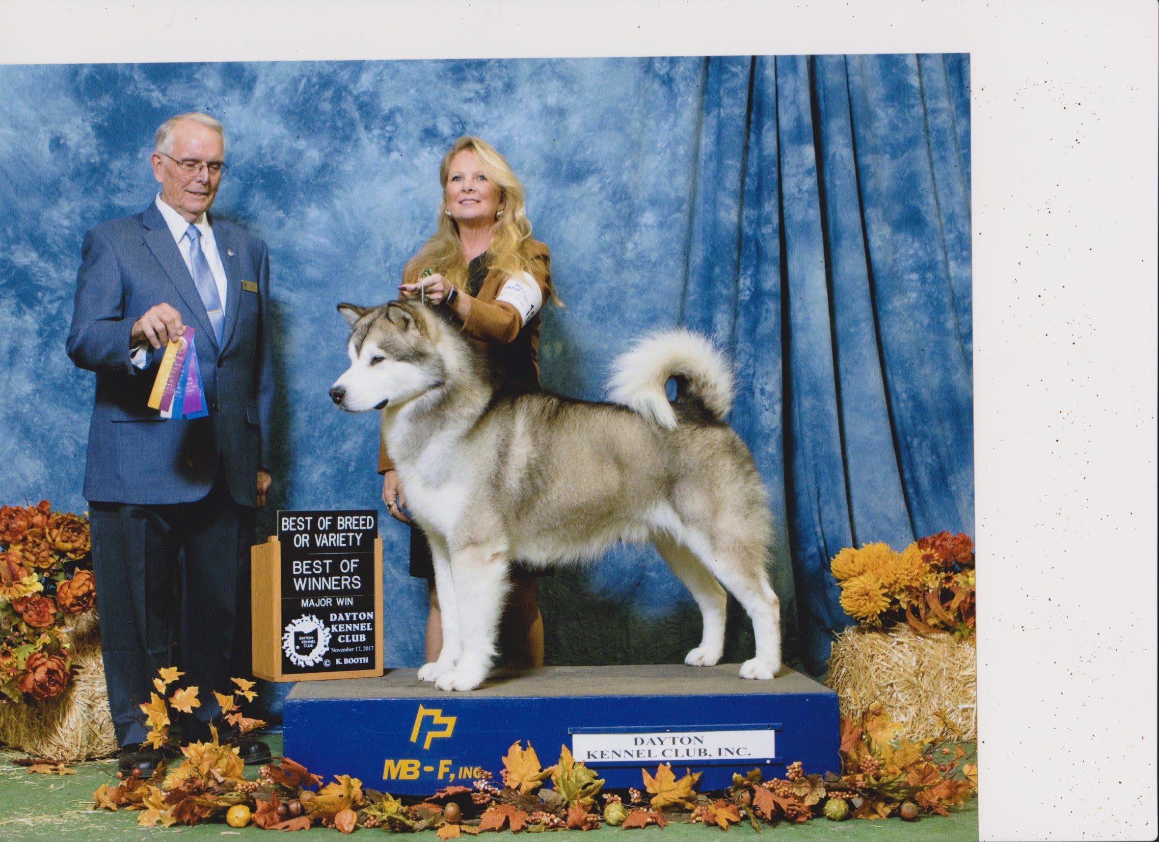 Dino first breed and Major 001.jpg