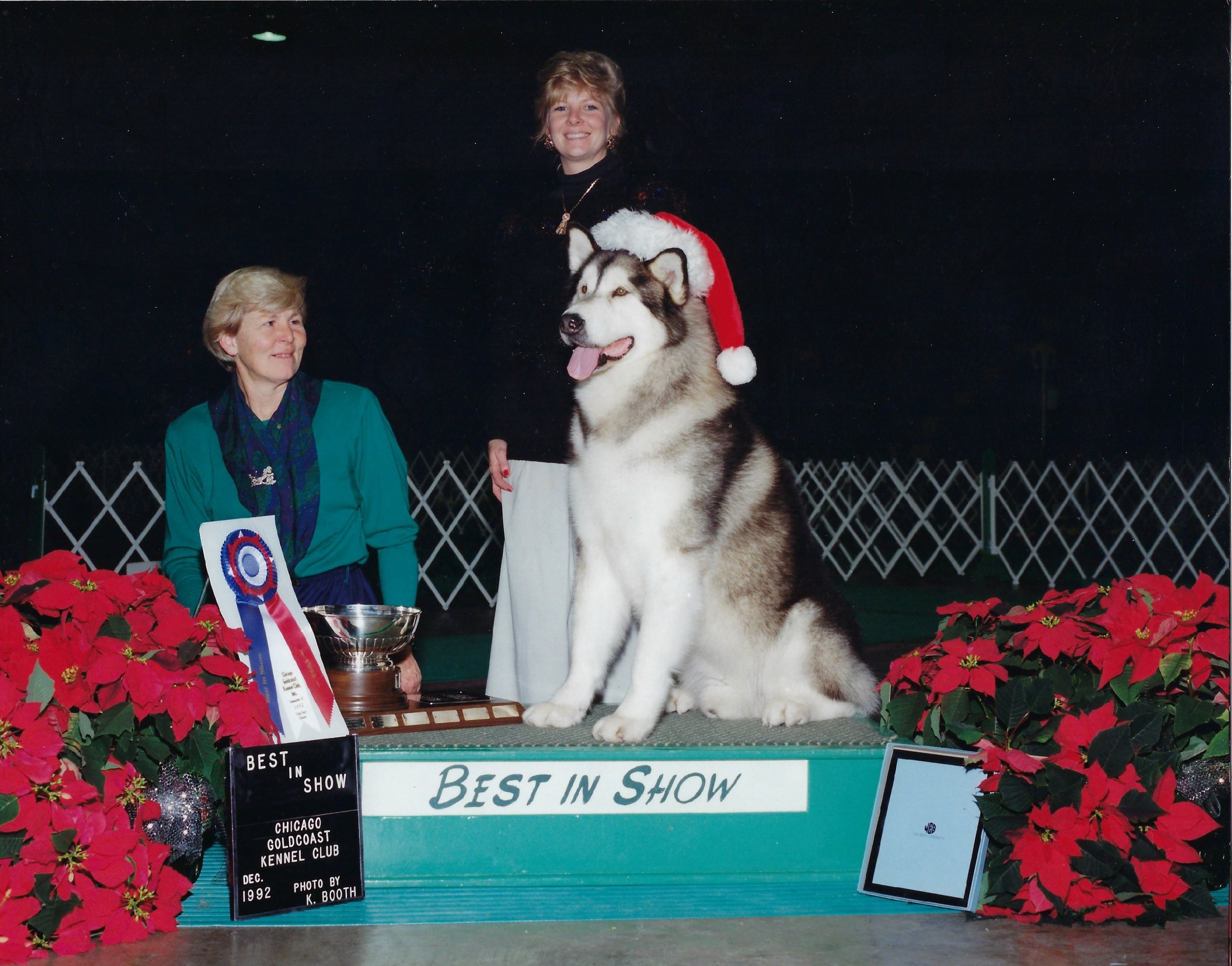 Scan_20250515 (10).jpg