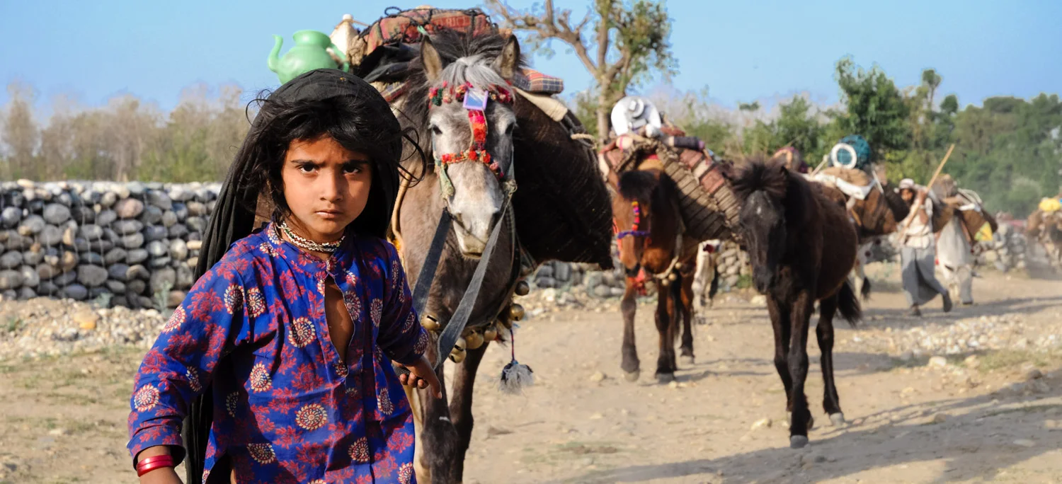 Salma leads the caravan out of the forest. 