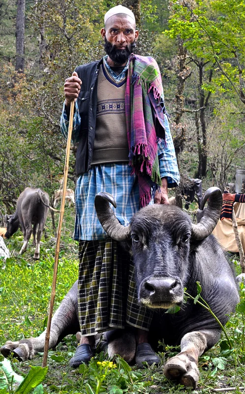 Dhumman