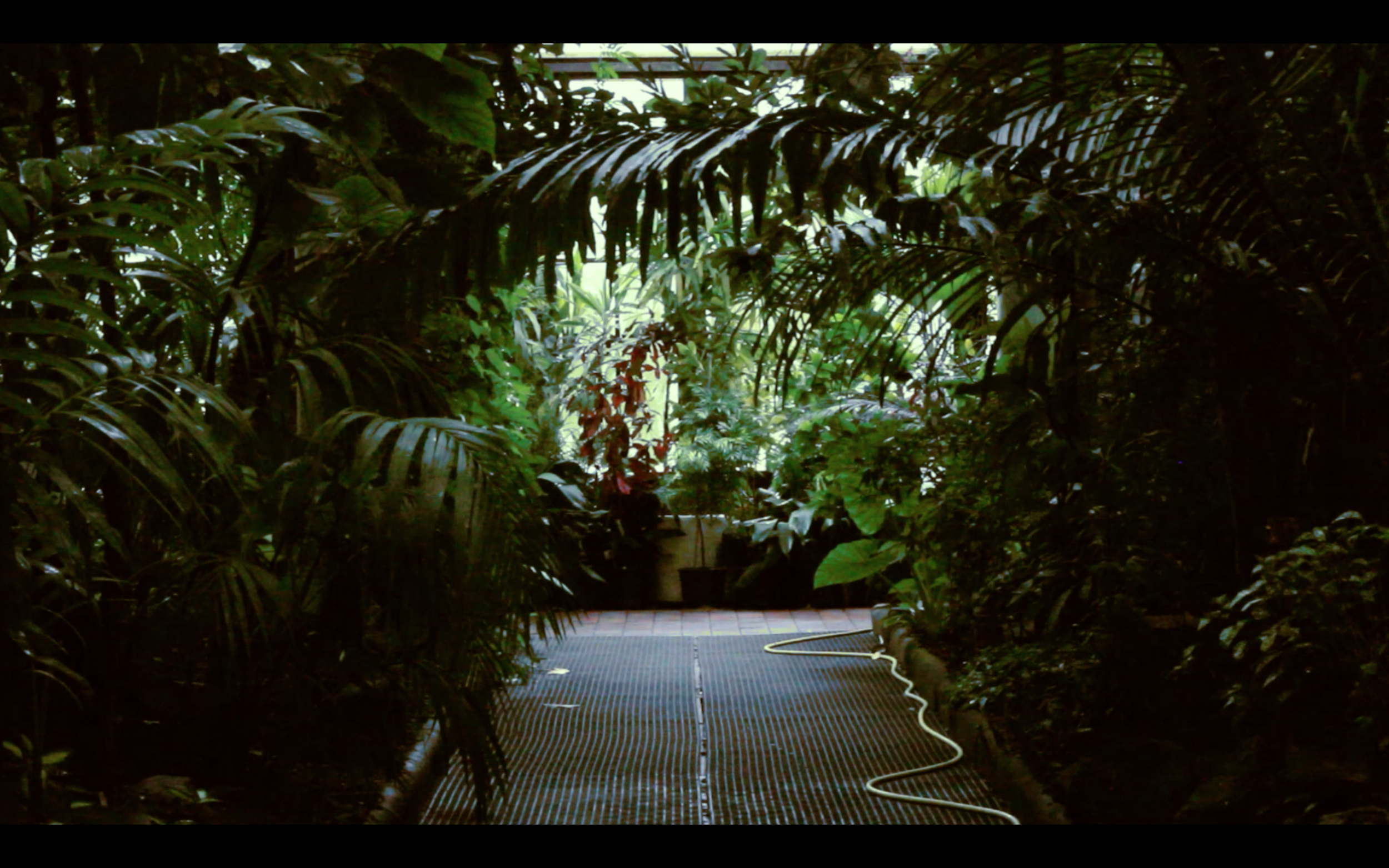 'Glasshouse' still