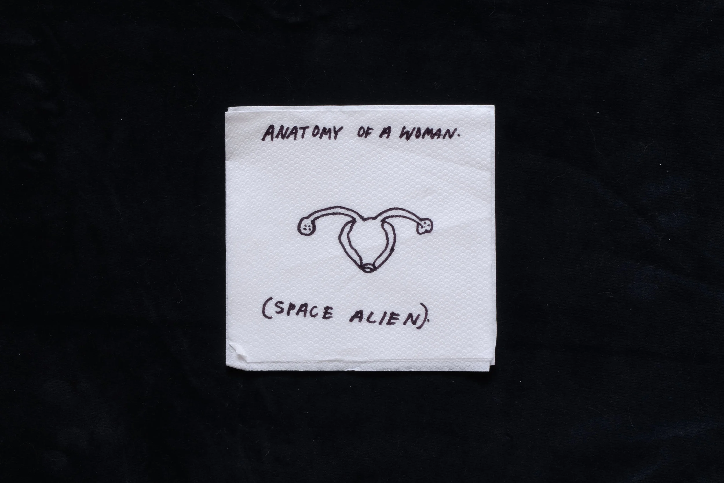 'Anatomy of a Woman'