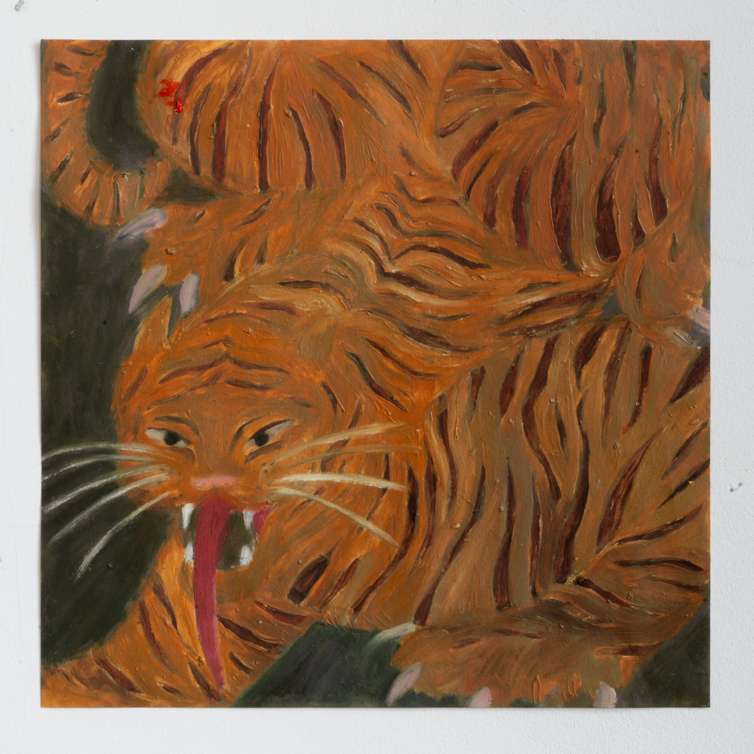 Angry Tiger