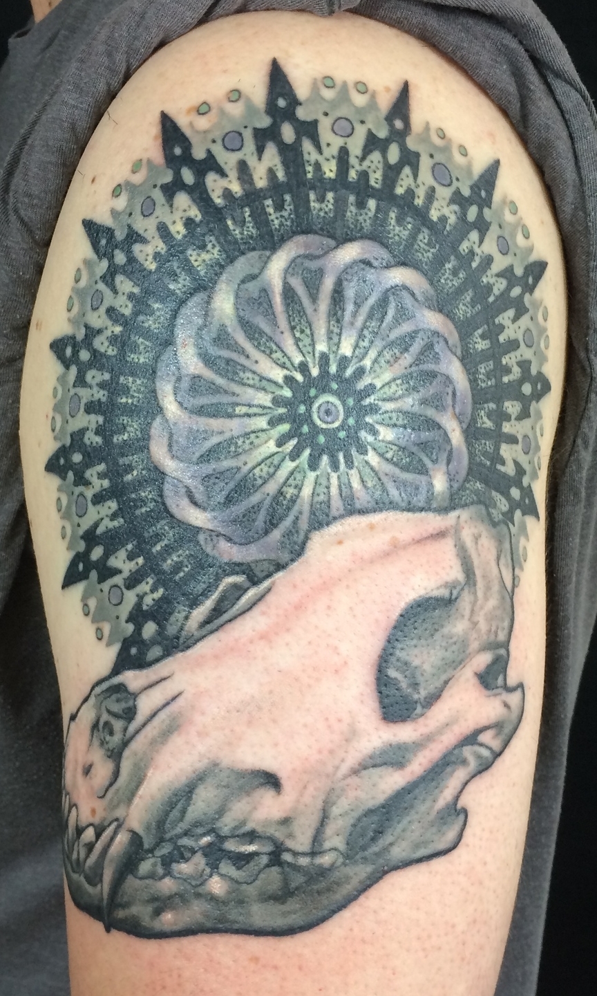 Jason's cover up